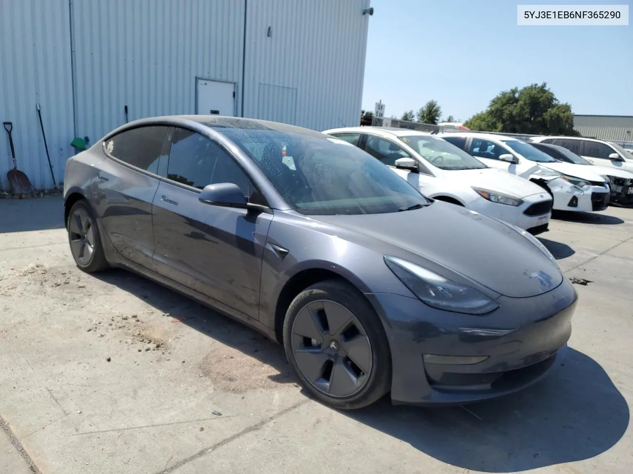 2022 Tesla Model 3 VIN: 5YJ3E1EB6NF365290 Lot: 69617104