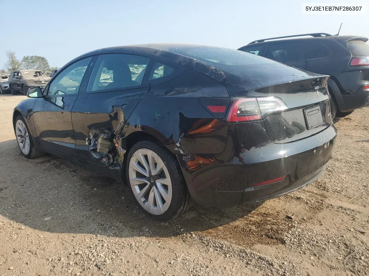 2022 Tesla Model 3 VIN: 5YJ3E1EB7NF286307 Lot: 70678824