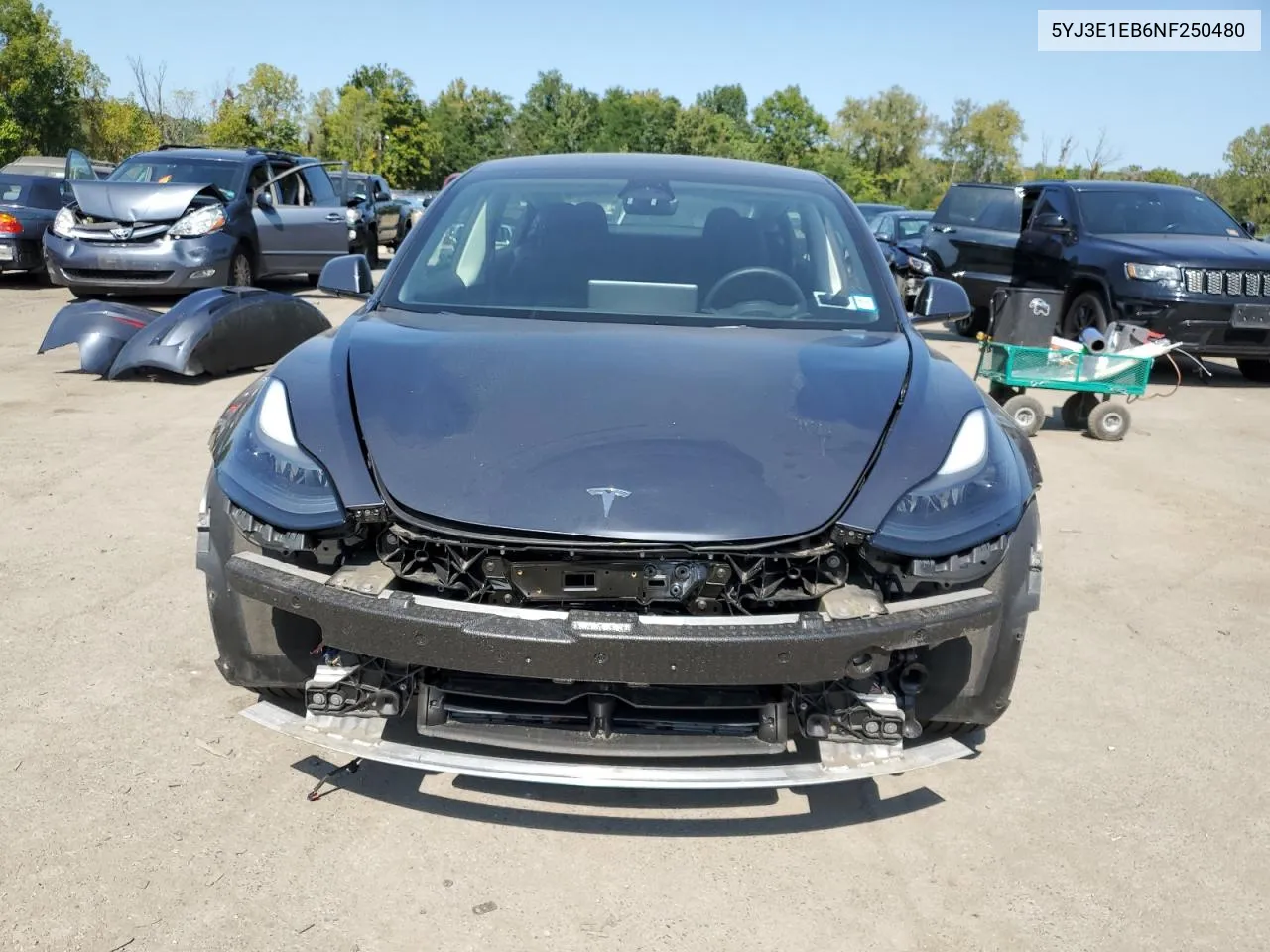 2022 Tesla Model 3 VIN: 5YJ3E1EB6NF250480 Lot: 71111184