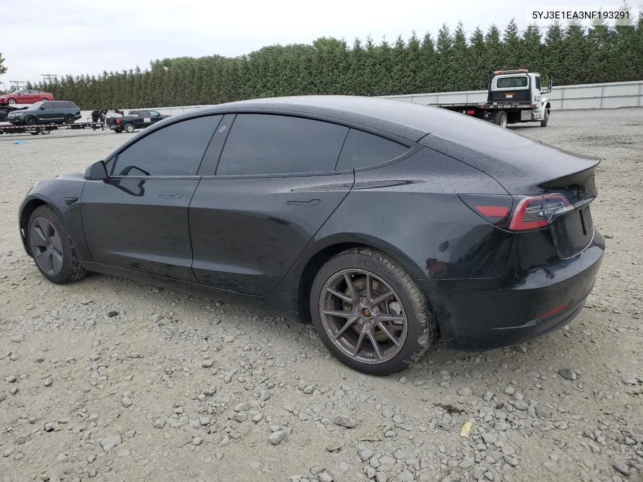 2022 Tesla Model 3 VIN: 5YJ3E1EA3NF193291 Lot: 71925424