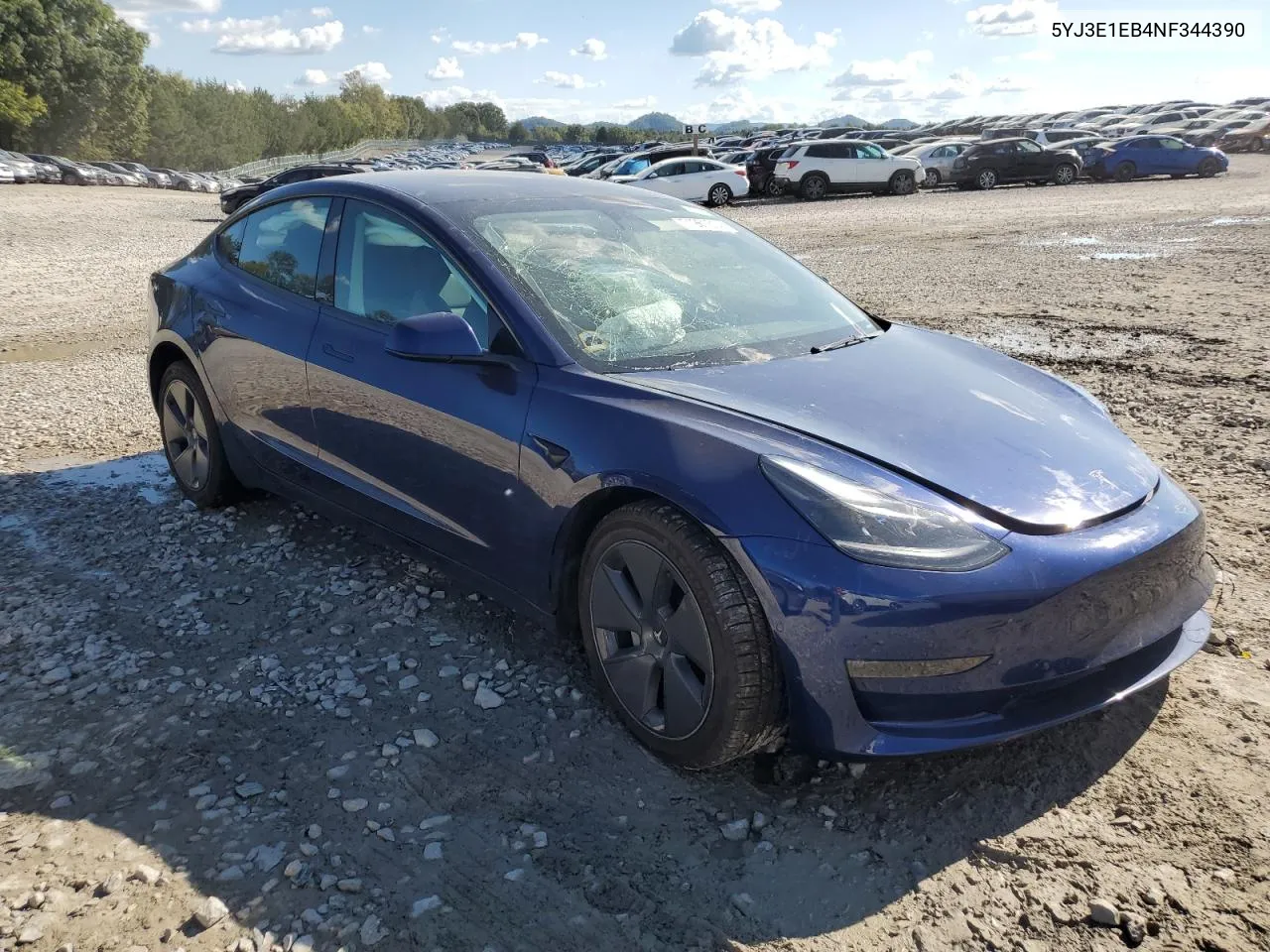 2022 Tesla Model 3 VIN: 5YJ3E1EB4NF344390 Lot: 71961314