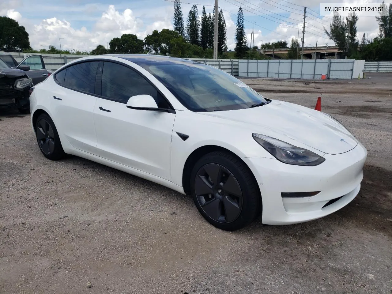 2022 Tesla Model 3 VIN: 5YJ3E1EA5NF124151 Lot: 72748304