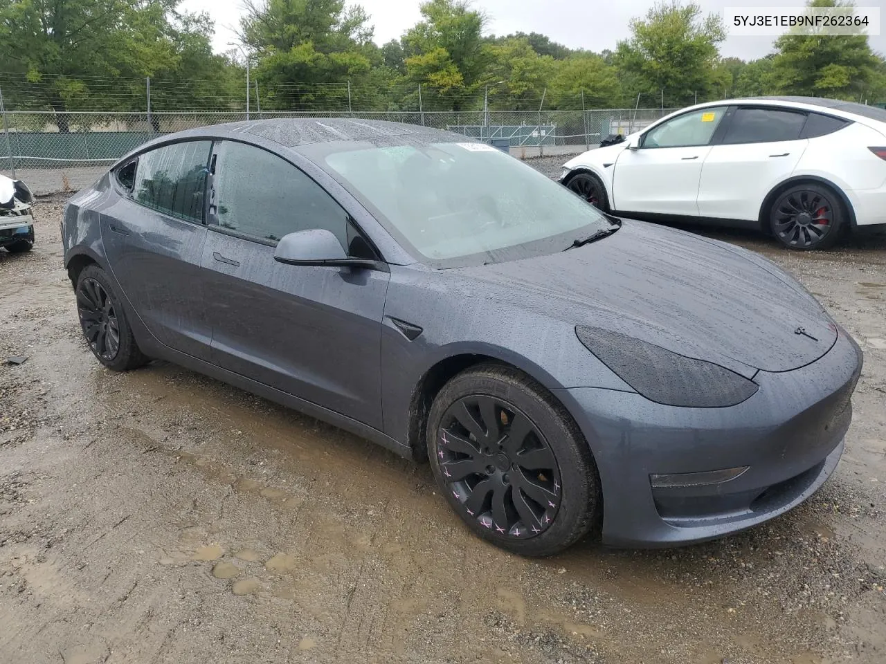 2022 Tesla Model 3 VIN: 5YJ3E1EB9NF262364 Lot: 73317444