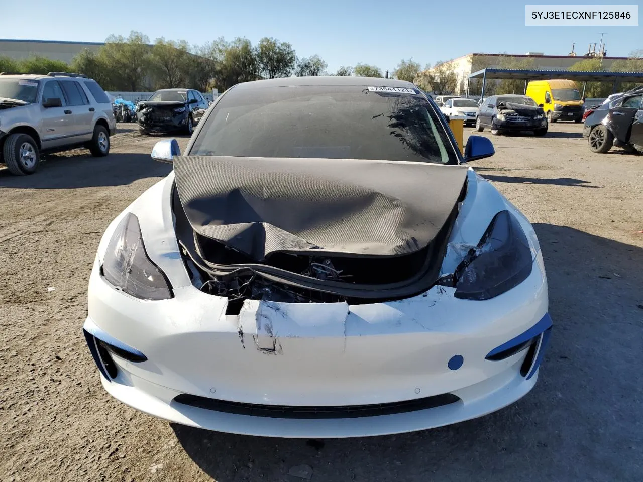 2022 Tesla Model 3 VIN: 5YJ3E1ECXNF125846 Lot: 73544124