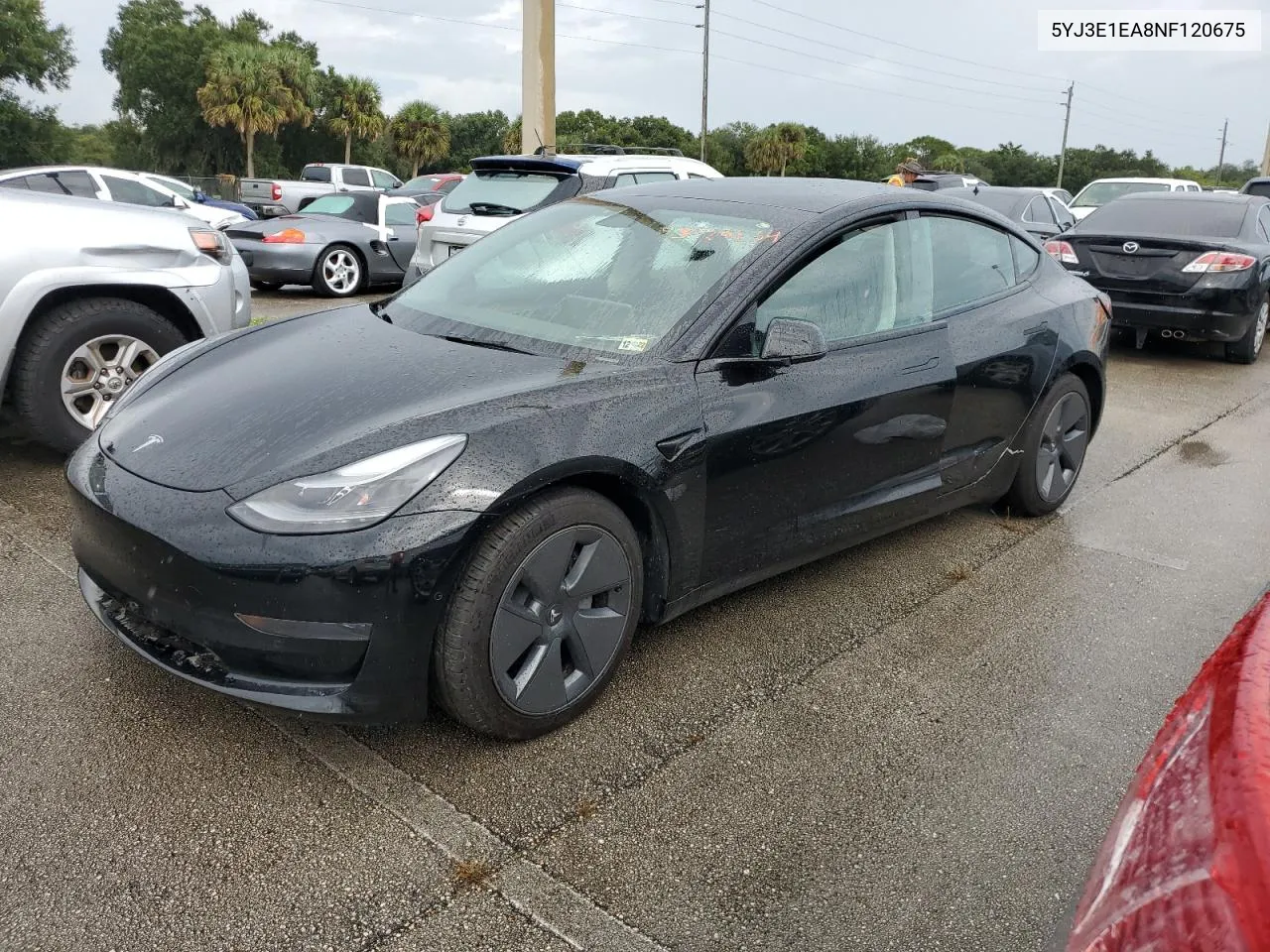 2022 Tesla Model 3 VIN: 5YJ3E1EA8NF120675 Lot: 73929134