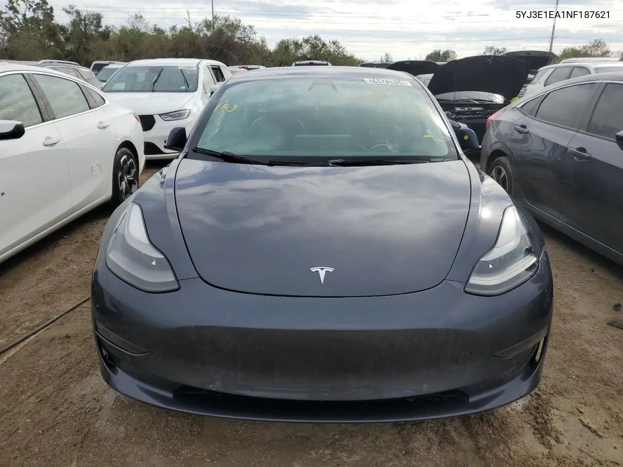 2022 Tesla Model 3 VIN: 5YJ3E1EA1NF187621 Lot: 74421814