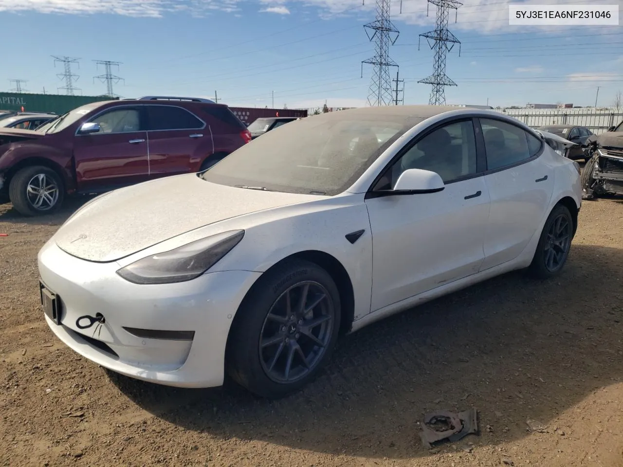 2022 Tesla Model 3 VIN: 5YJ3E1EA6NF231046 Lot: 74901424