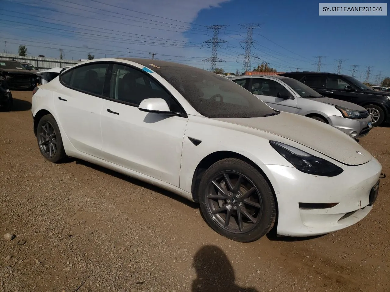 2022 Tesla Model 3 VIN: 5YJ3E1EA6NF231046 Lot: 74901424