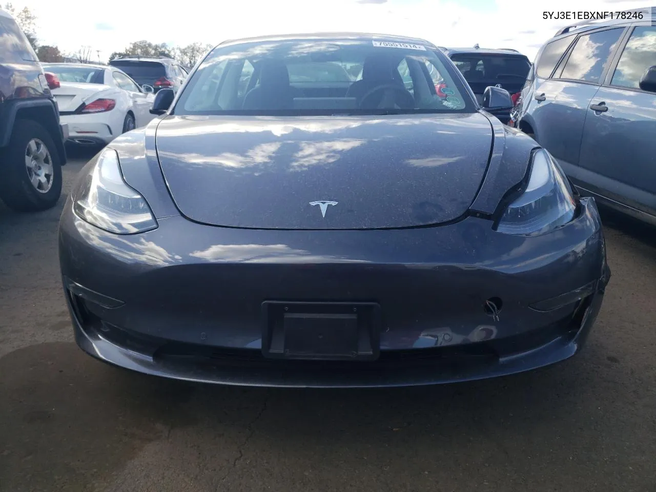 2022 Tesla Model 3 VIN: 5YJ3E1EBXNF178246 Lot: 75551514