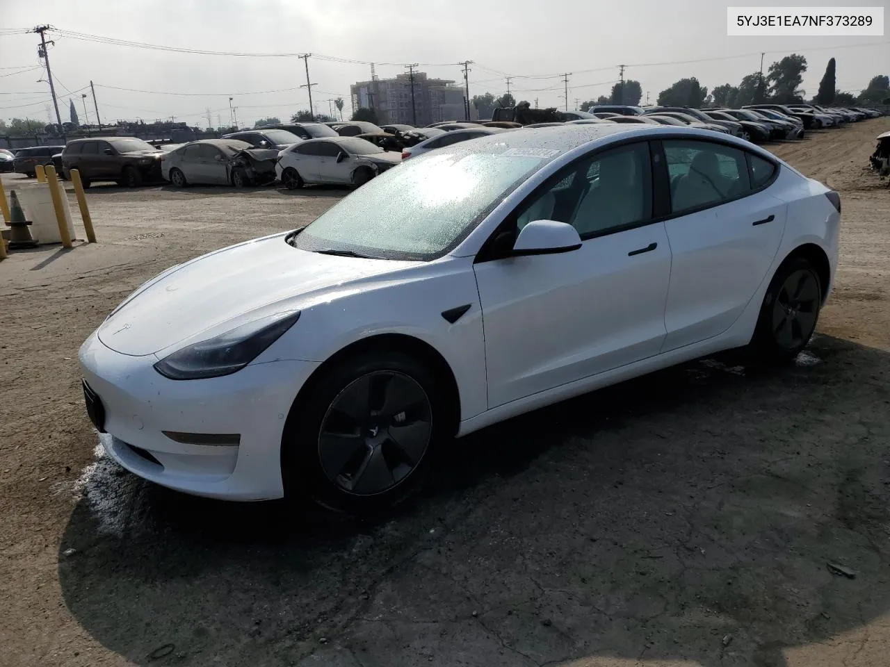 2022 Tesla Model 3 VIN: 5YJ3E1EA7NF373289 Lot: 75963824