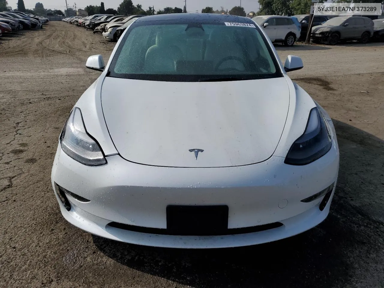 2022 Tesla Model 3 VIN: 5YJ3E1EA7NF373289 Lot: 75963824