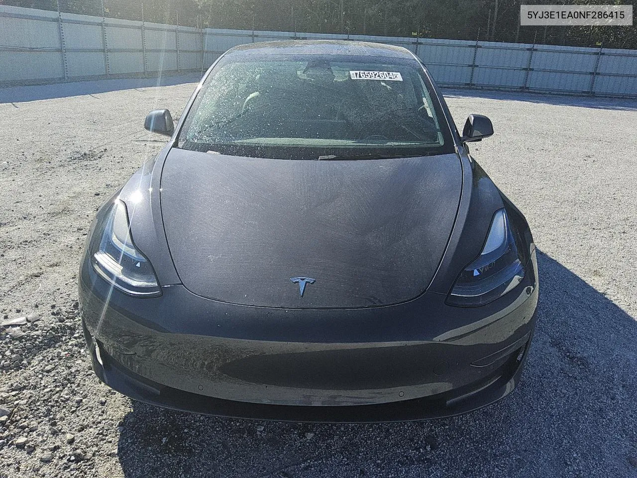 2022 Tesla Model 3 VIN: 5YJ3E1EA0NF286415 Lot: 76592604