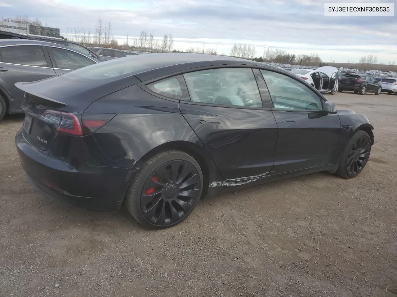 2022 Tesla Model 3 VIN: 5YJ3E1ECXNF308535 Lot: 76698954