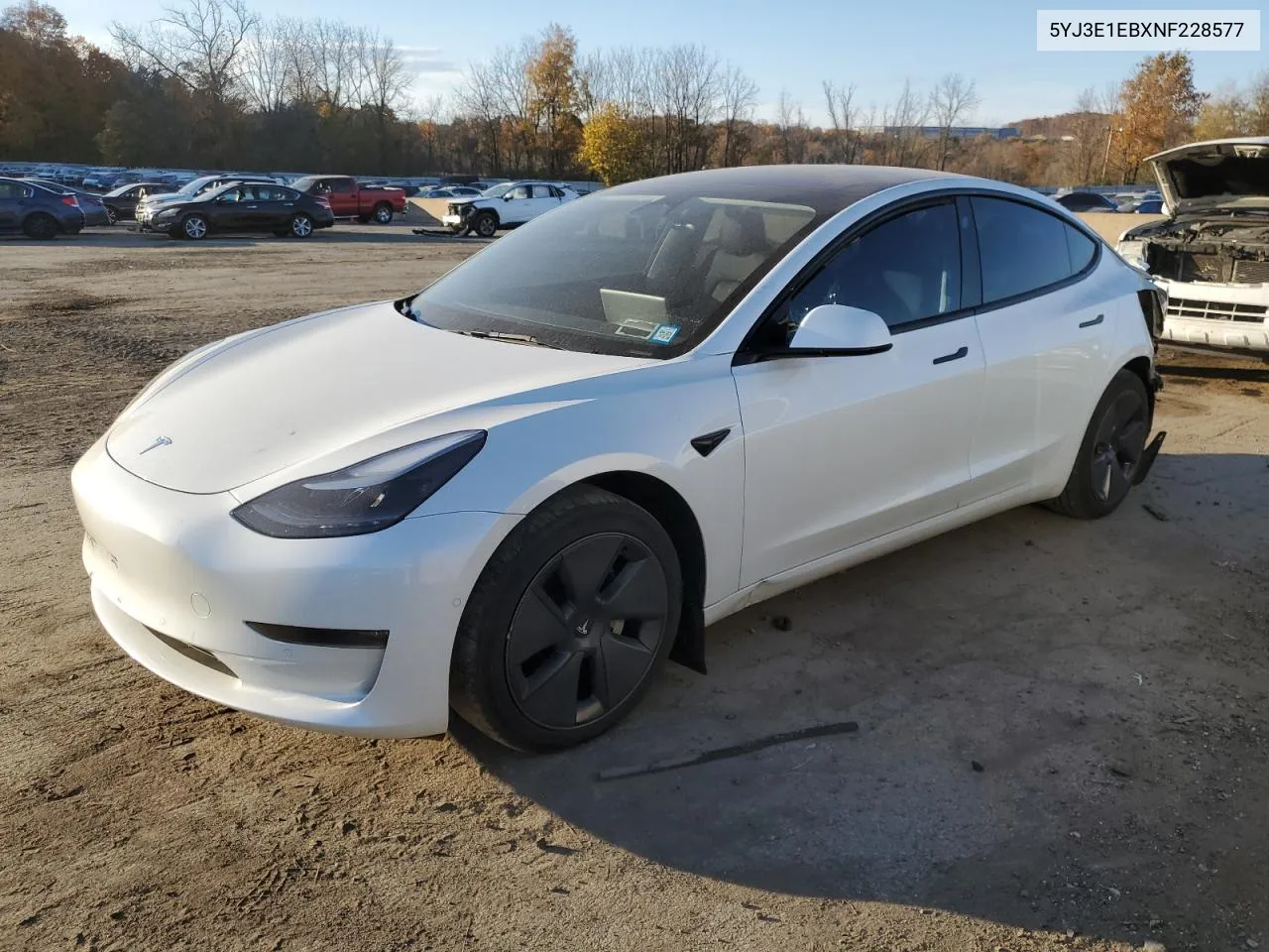 2022 Tesla Model 3 VIN: 5YJ3E1EBXNF228577 Lot: 76803214