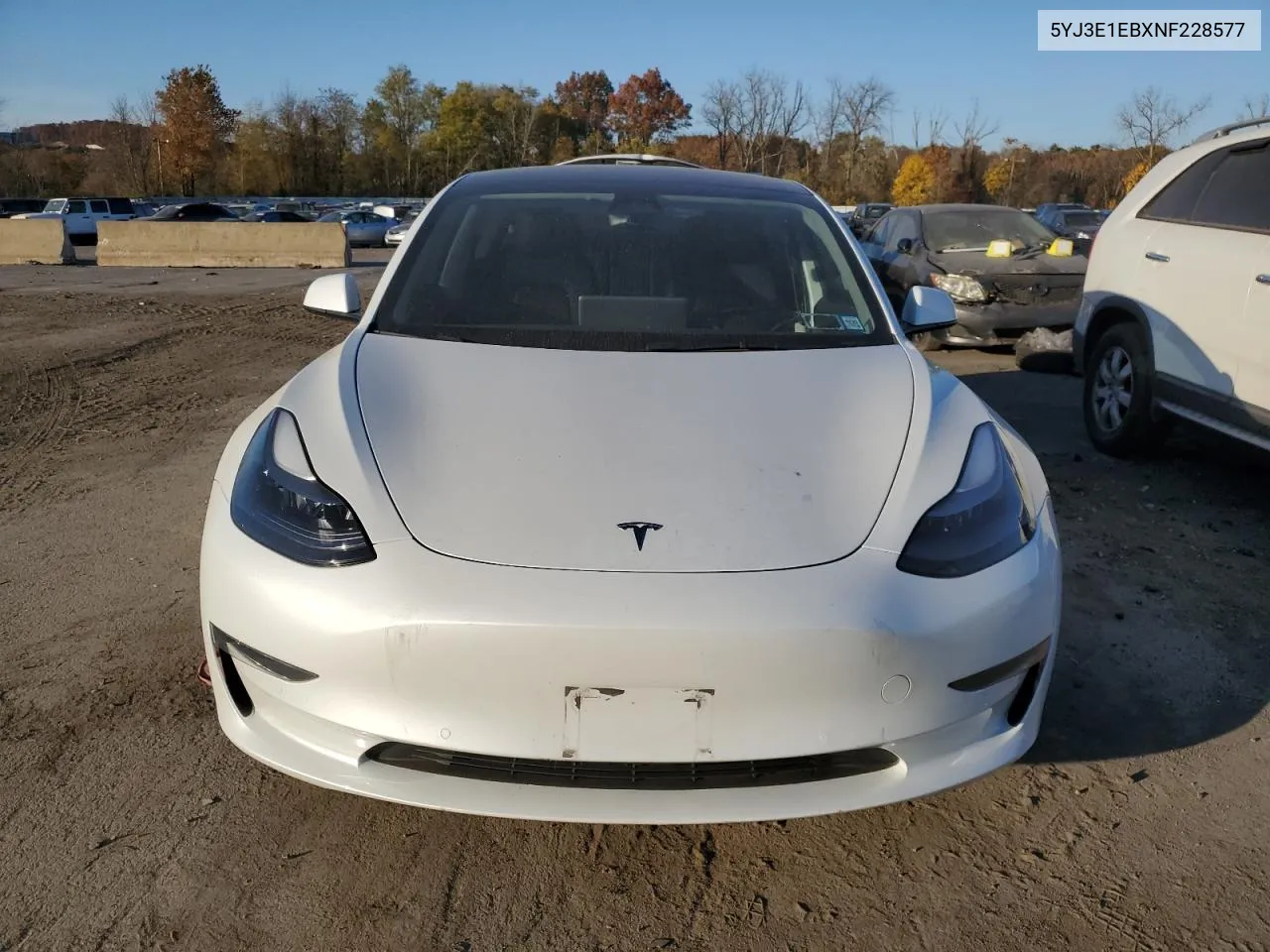 2022 Tesla Model 3 VIN: 5YJ3E1EBXNF228577 Lot: 76803214