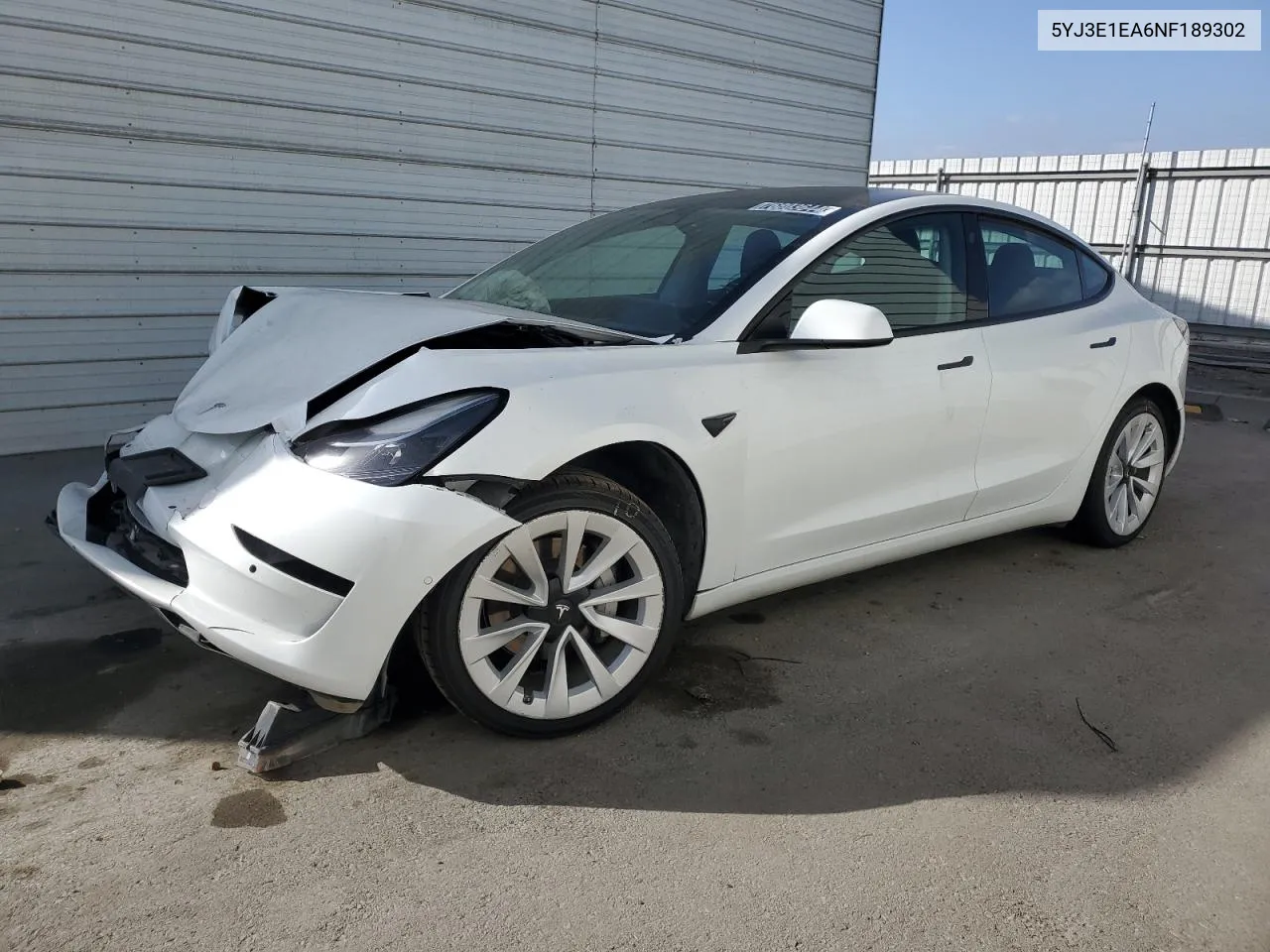 2022 Tesla Model 3 VIN: 5YJ3E1EA6NF189302 Lot: 76803644