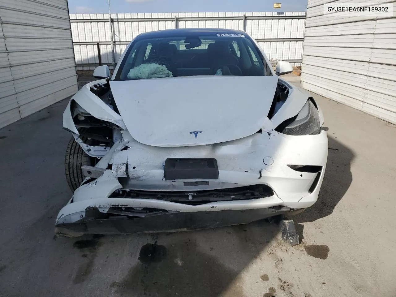 2022 Tesla Model 3 VIN: 5YJ3E1EA6NF189302 Lot: 76803644