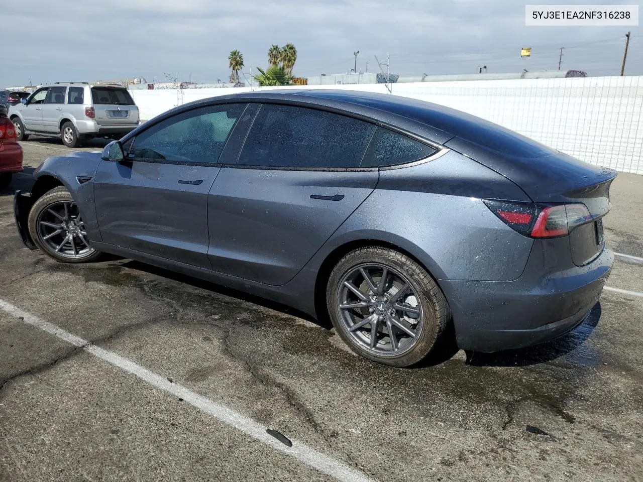 2022 Tesla Model 3 VIN: 5YJ3E1EA2NF316238 Lot: 76845064