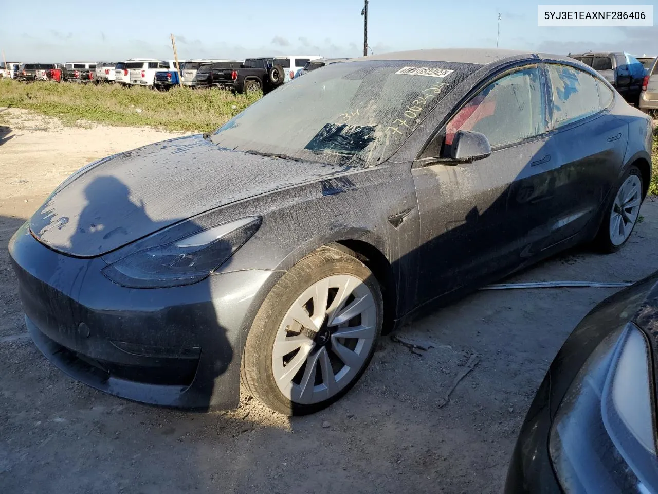 2022 Tesla Model 3 VIN: 5YJ3E1EAXNF286406 Lot: 77063424