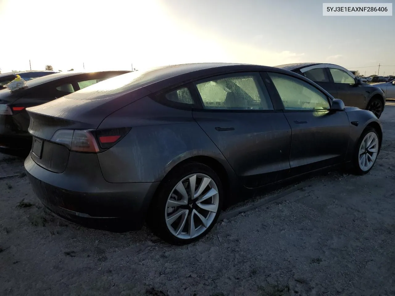 2022 Tesla Model 3 VIN: 5YJ3E1EAXNF286406 Lot: 77063424