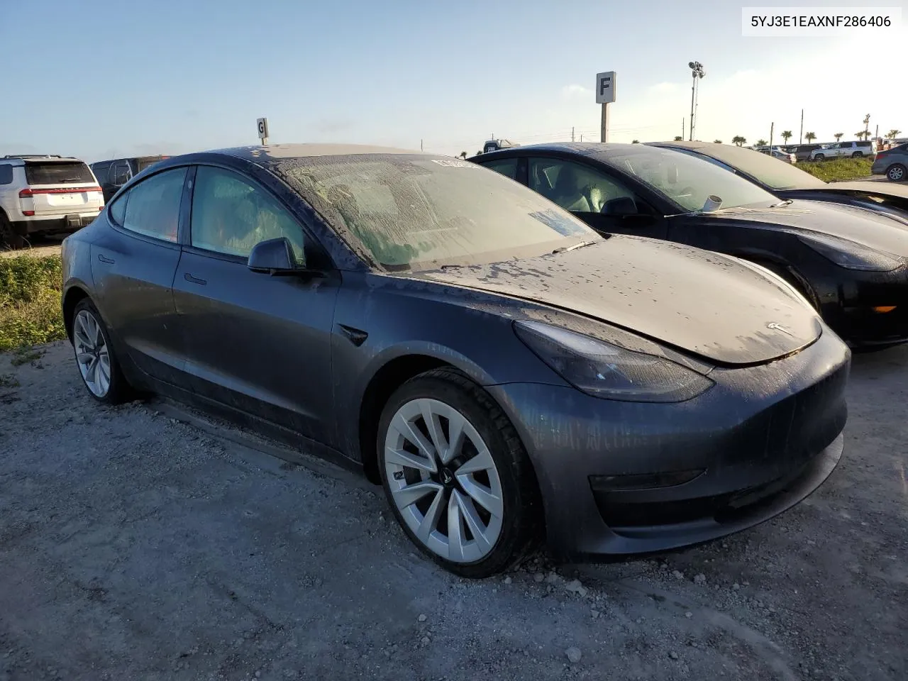 2022 Tesla Model 3 VIN: 5YJ3E1EAXNF286406 Lot: 77063424