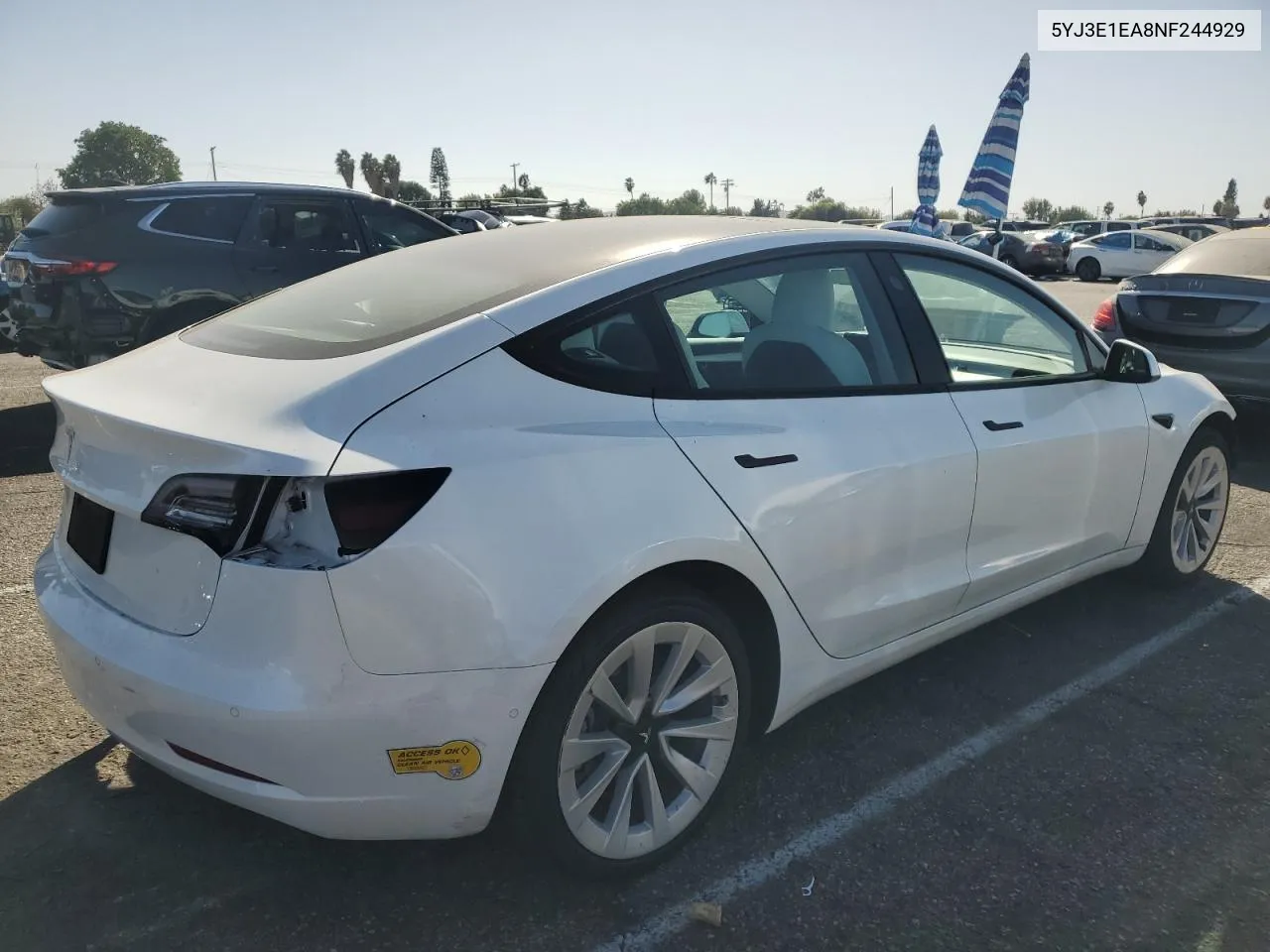 2022 Tesla Model 3 VIN: 5YJ3E1EA8NF244929 Lot: 77144274