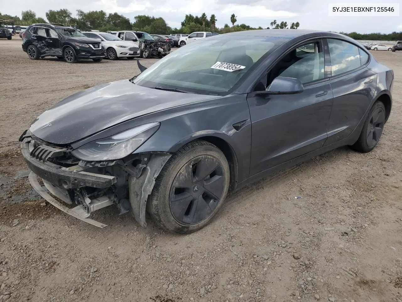 2022 Tesla Model 3 VIN: 5YJ3E1EBXNF125546 Lot: 78738954