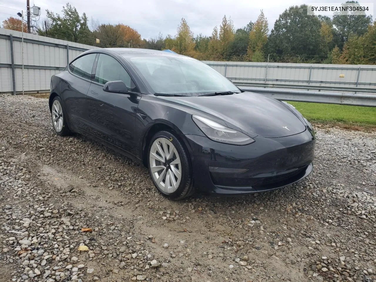 2022 Tesla Model 3 VIN: 5YJ3E1EA1NF304534 Lot: 78803494