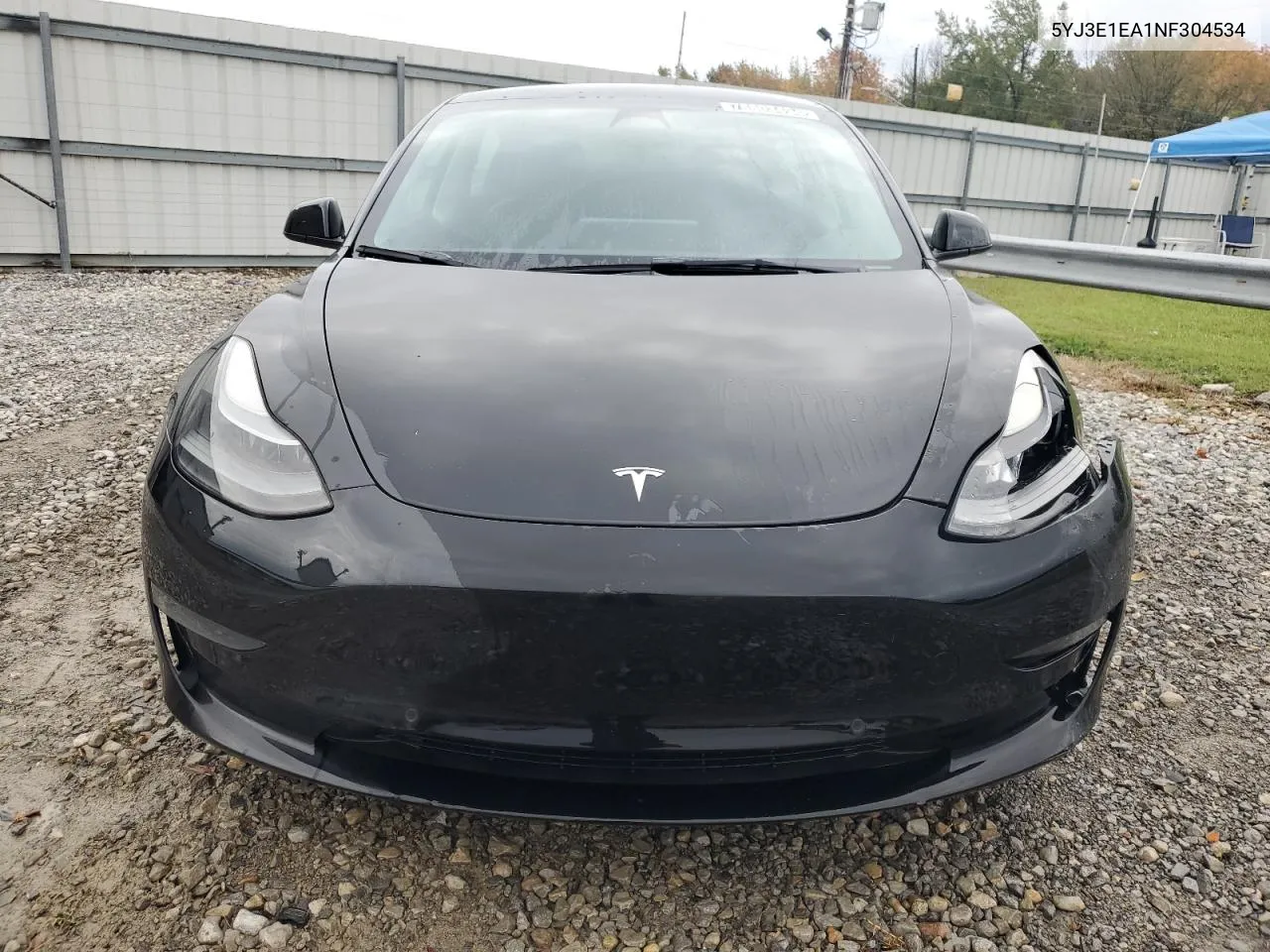 2022 Tesla Model 3 VIN: 5YJ3E1EA1NF304534 Lot: 78803494