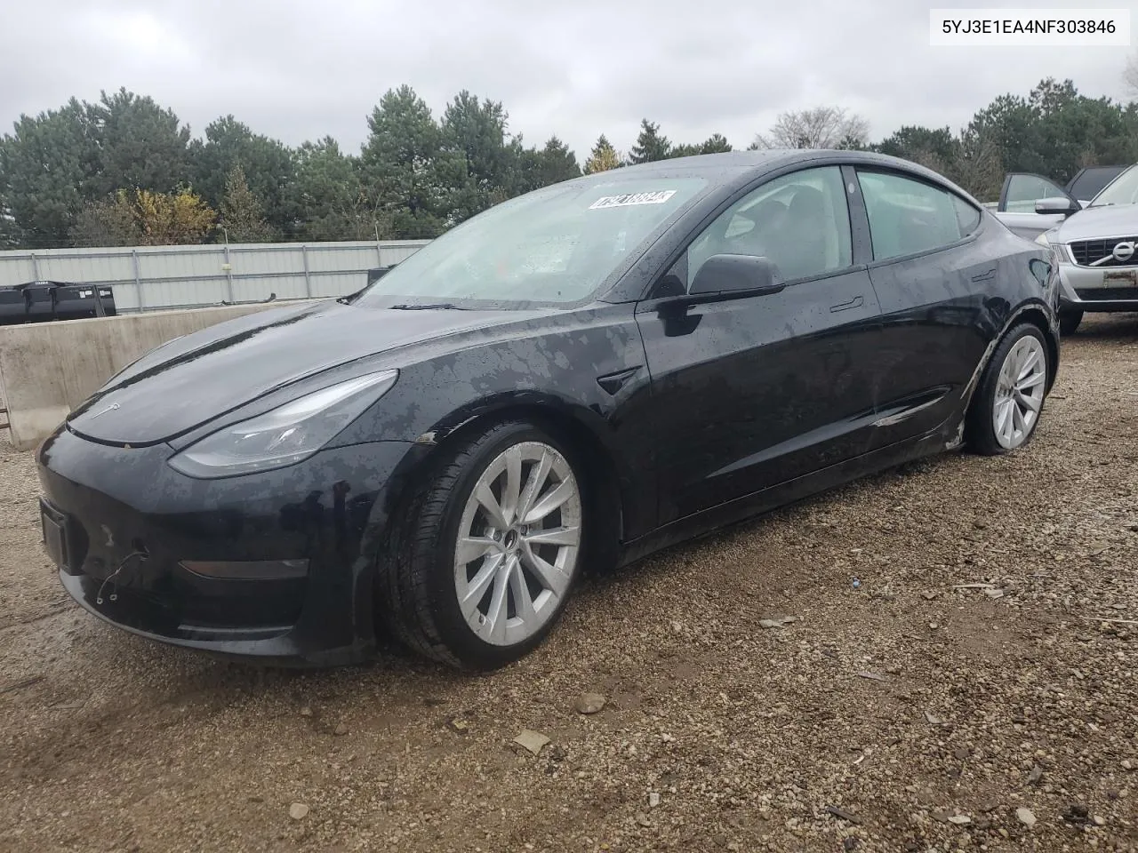 2022 Tesla Model 3 VIN: 5YJ3E1EA4NF303846 Lot: 79218884