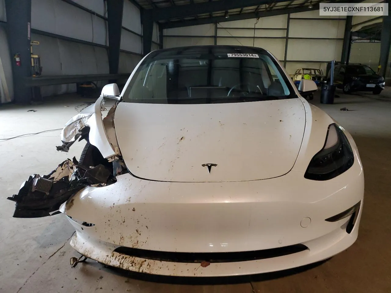 2022 Tesla Model 3 VIN: 5YJ3E1ECXNF113681 Lot: 79553014