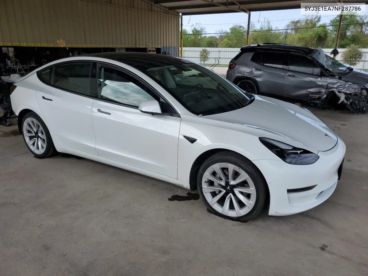 2022 Tesla Model 3 VIN: 5YJ3E1EA7NF287786 Lot: 79641114