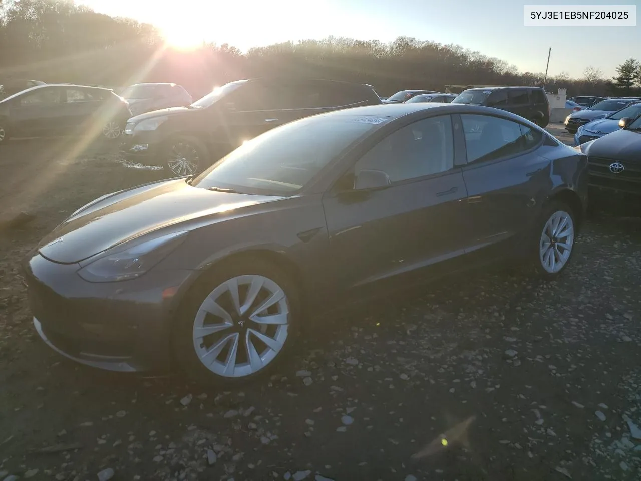 2022 Tesla Model 3 VIN: 5YJ3E1EB5NF204025 Lot: 80342484