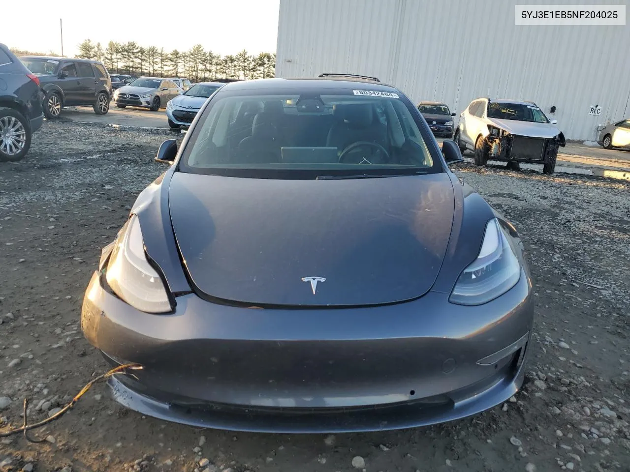 2022 Tesla Model 3 VIN: 5YJ3E1EB5NF204025 Lot: 80342484