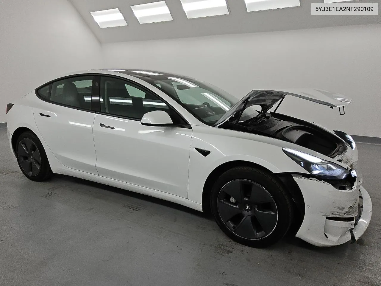 2022 Tesla Model 3 VIN: 5YJ3E1EA2NF290109 Lot: 80390854