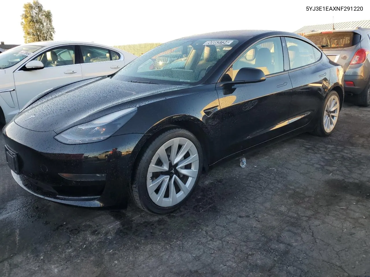 2022 Tesla Model 3 VIN: 5YJ3E1EAXNF291220 Lot: 80663734