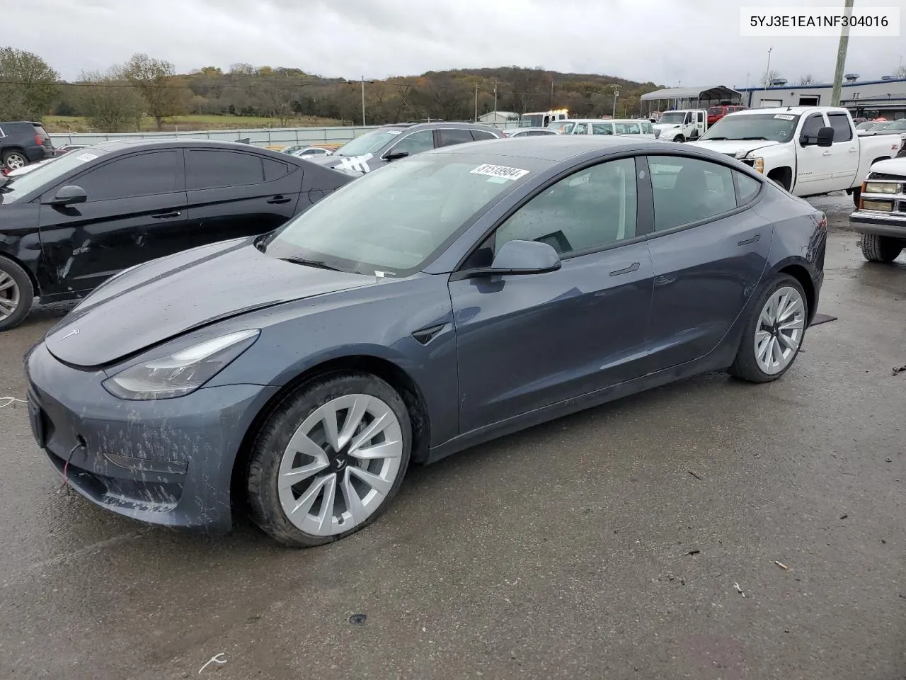 2022 Tesla Model 3 VIN: 5YJ3E1EA1NF304016 Lot: 81518984