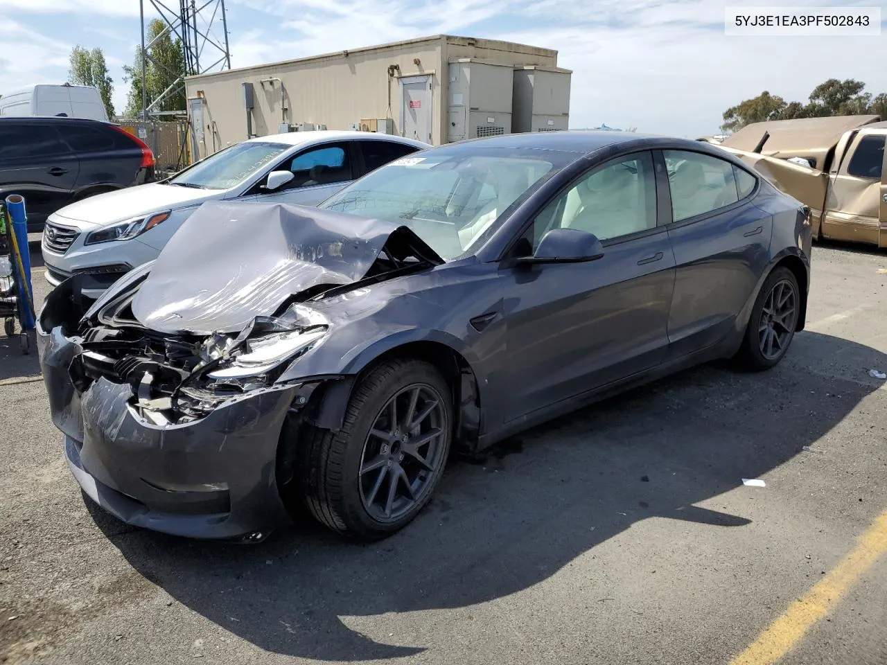 2023 Tesla Model 3 VIN: 5YJ3E1EA3PF502843 Lot: 51065474