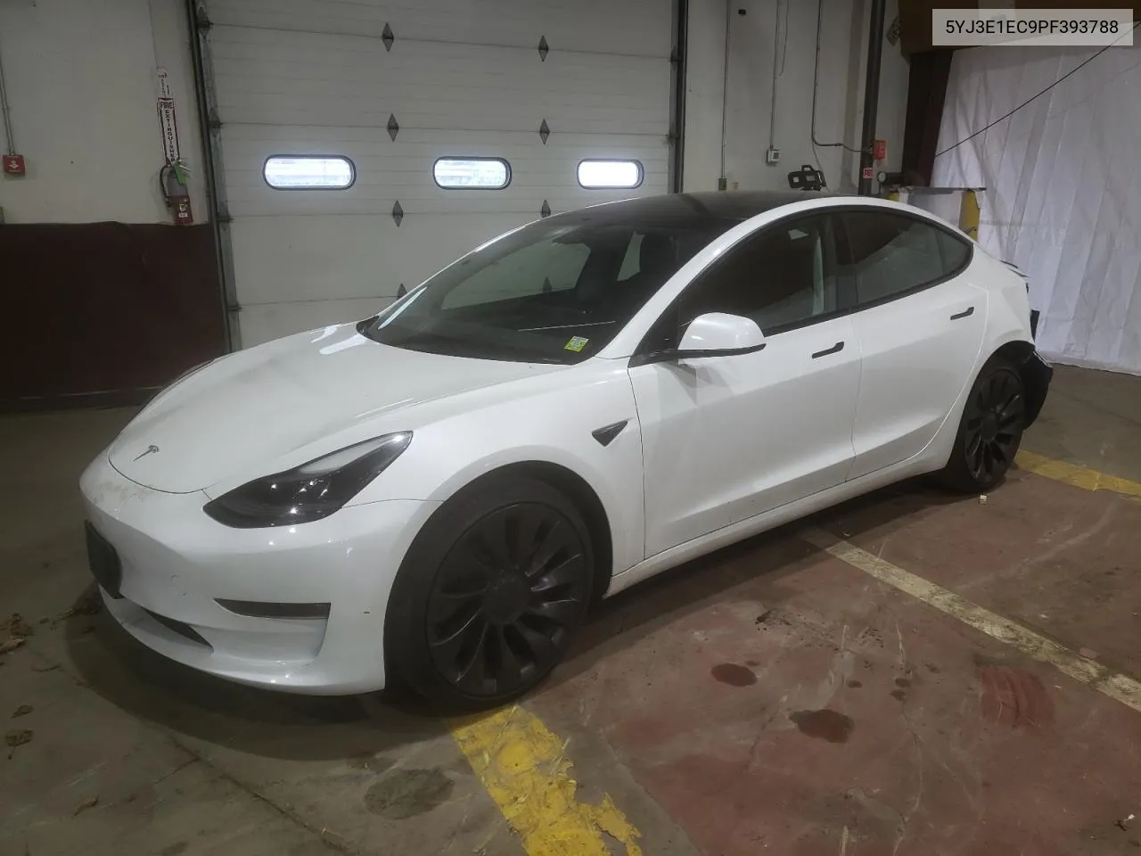 2023 Tesla Model 3 VIN: 5YJ3E1EC9PF393788 Lot: 54405704