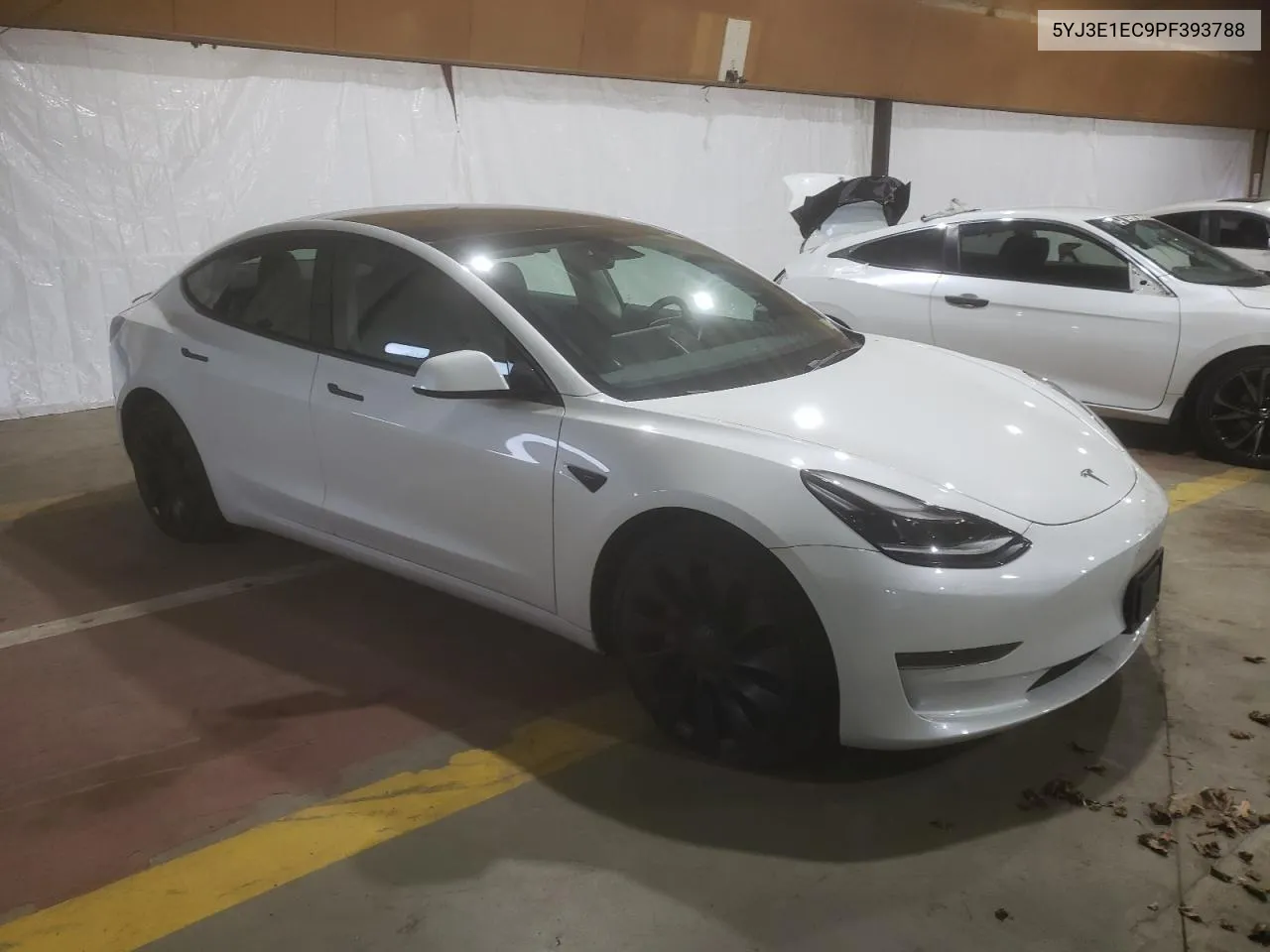 2023 Tesla Model 3 VIN: 5YJ3E1EC9PF393788 Lot: 54405704