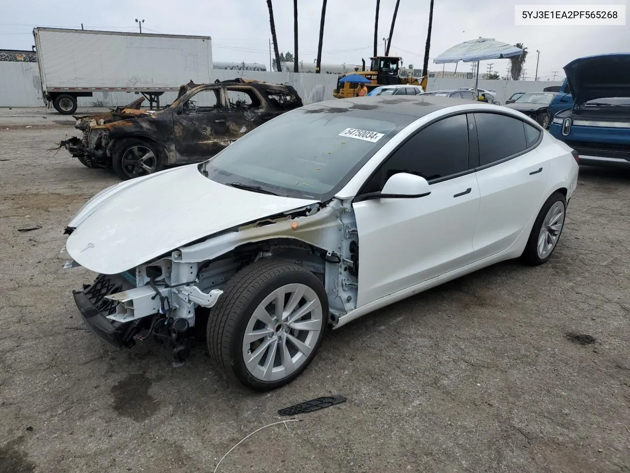 2023 Tesla Model 3 VIN: 5YJ3E1EA2PF565268 Lot: 54750034