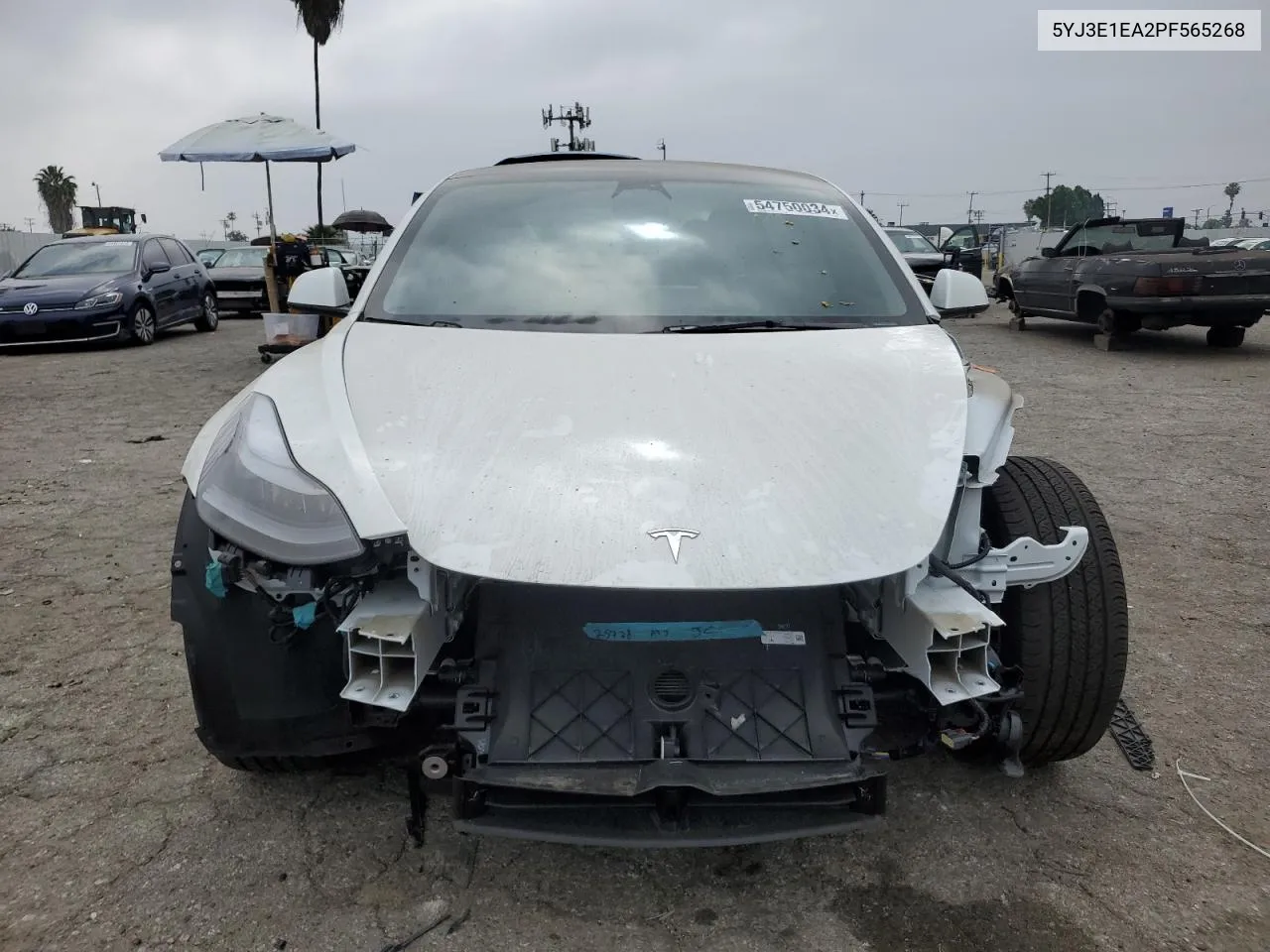 2023 Tesla Model 3 VIN: 5YJ3E1EA2PF565268 Lot: 54750034