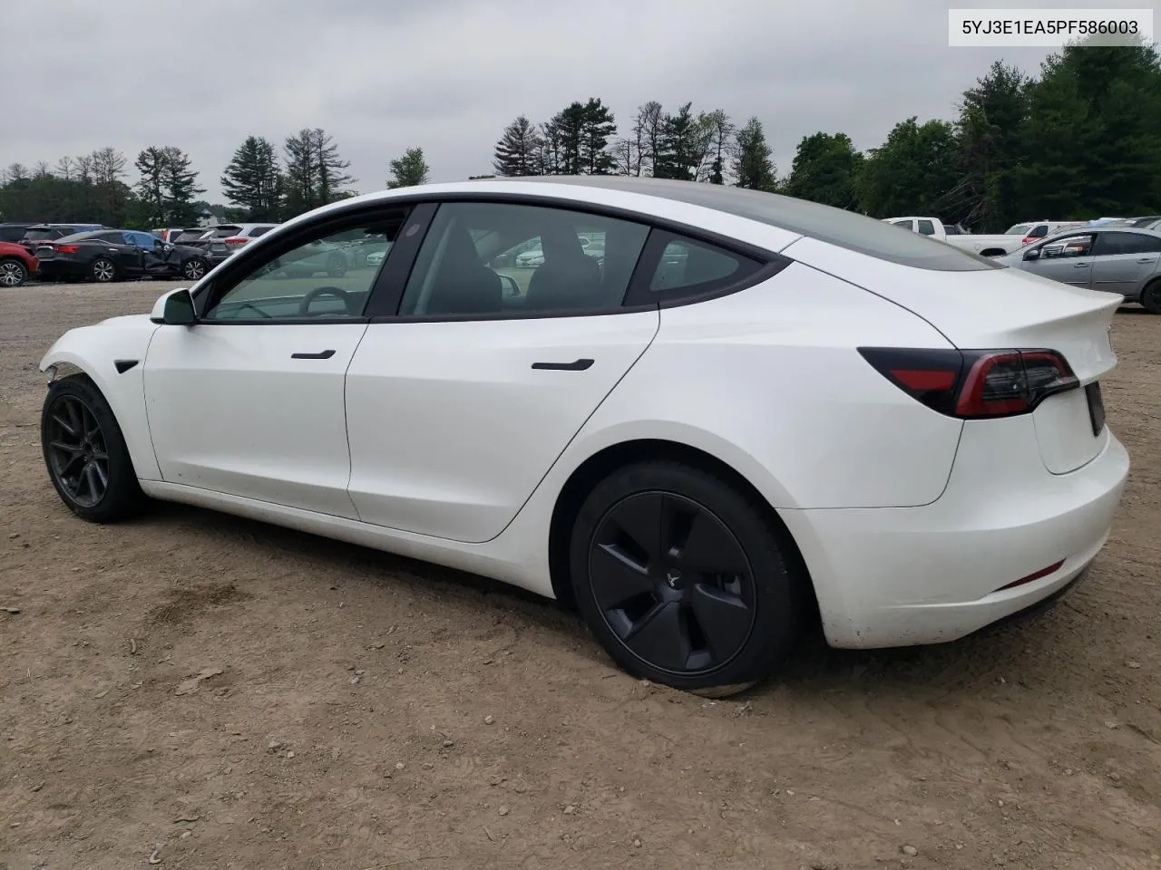 2023 Tesla Model 3 VIN: 5YJ3E1EA5PF586003 Lot: 57133654