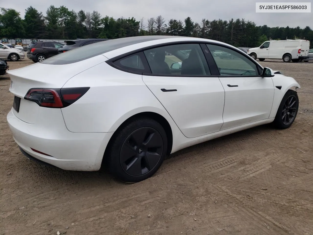 2023 Tesla Model 3 VIN: 5YJ3E1EA5PF586003 Lot: 57133654