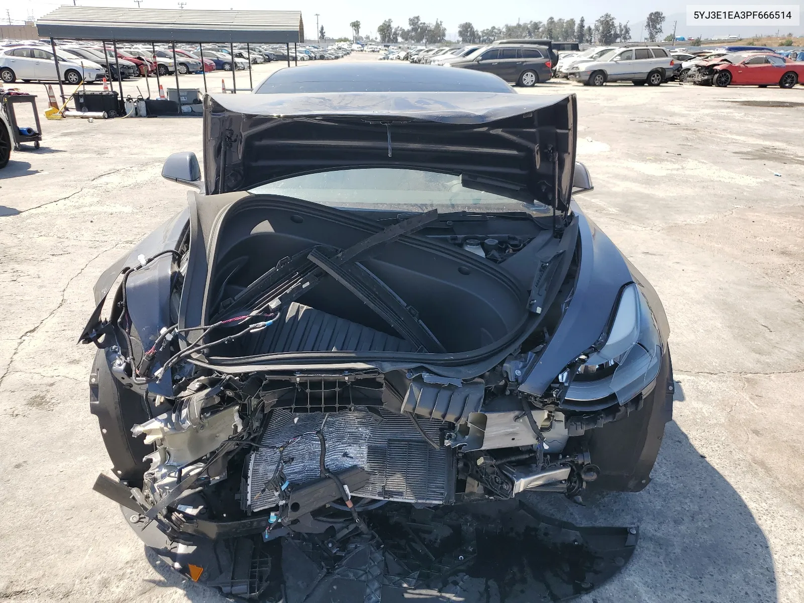 2023 Tesla Model 3 VIN: 5YJ3E1EA3PF666514 Lot: 58486544