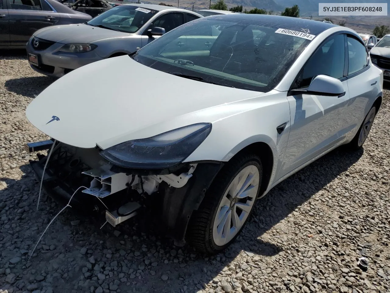 2023 Tesla Model 3 VIN: 5YJ3E1EB3PF608248 Lot: 60680194