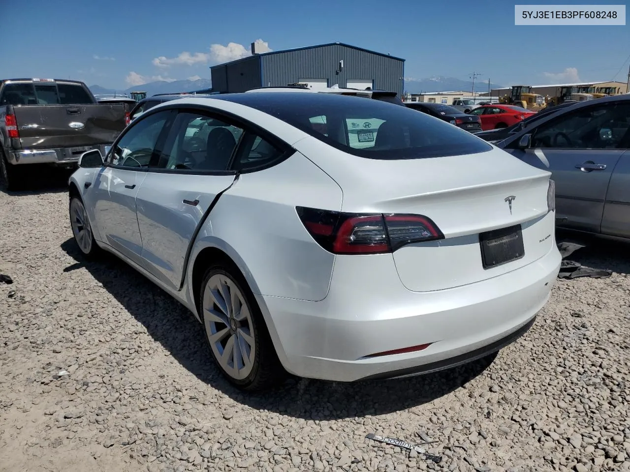 2023 Tesla Model 3 VIN: 5YJ3E1EB3PF608248 Lot: 60680194