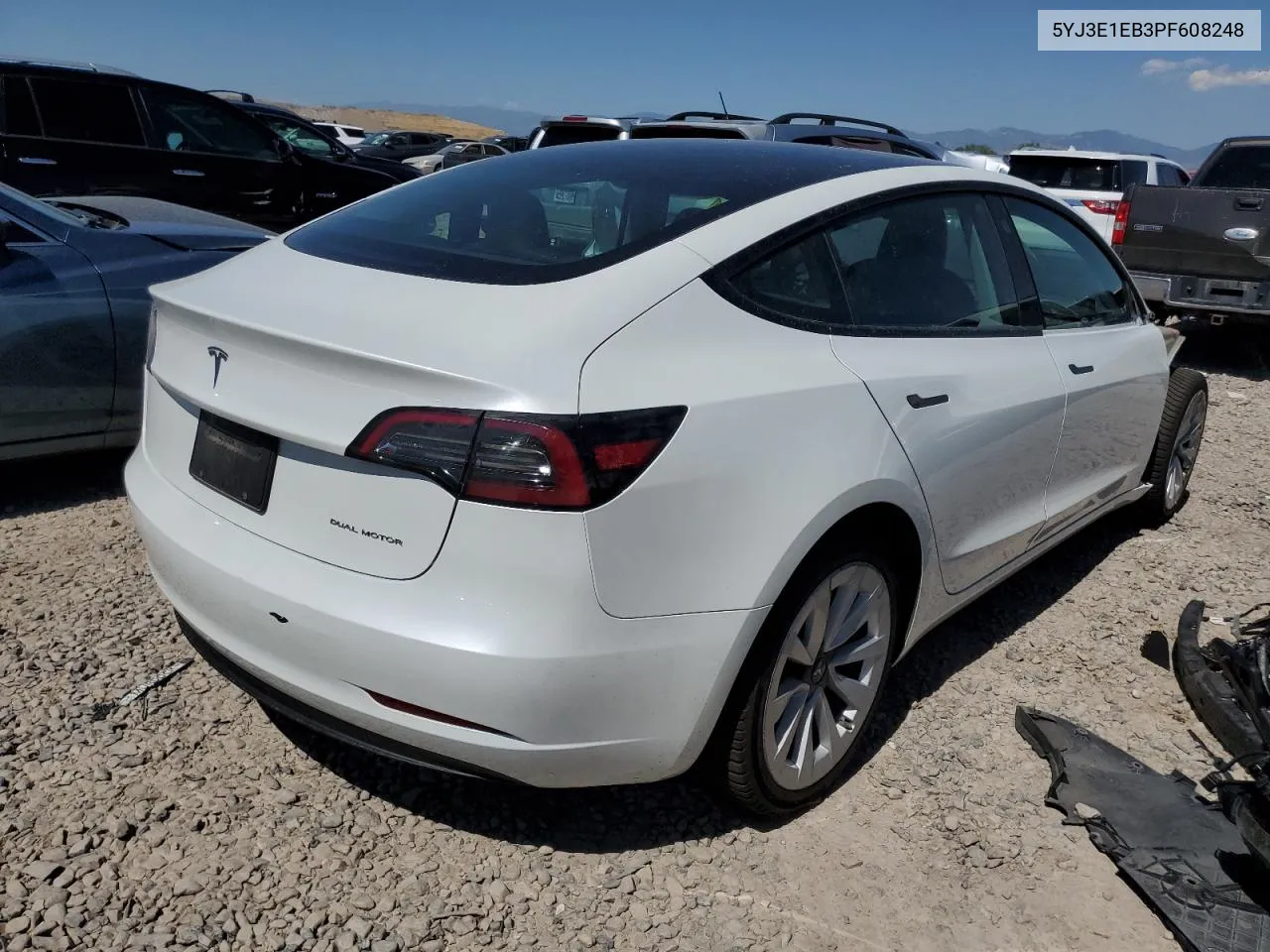 2023 Tesla Model 3 VIN: 5YJ3E1EB3PF608248 Lot: 60680194