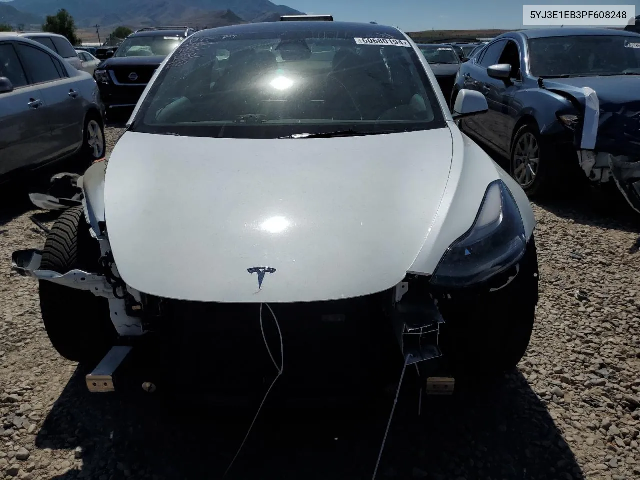 2023 Tesla Model 3 VIN: 5YJ3E1EB3PF608248 Lot: 60680194