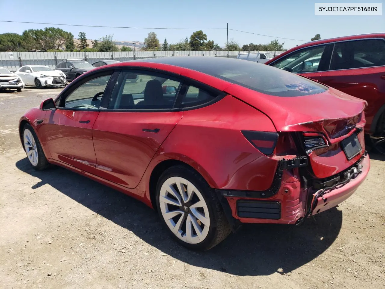 2023 Tesla Model 3 VIN: 5YJ3E1EA7PF516809 Lot: 60699884